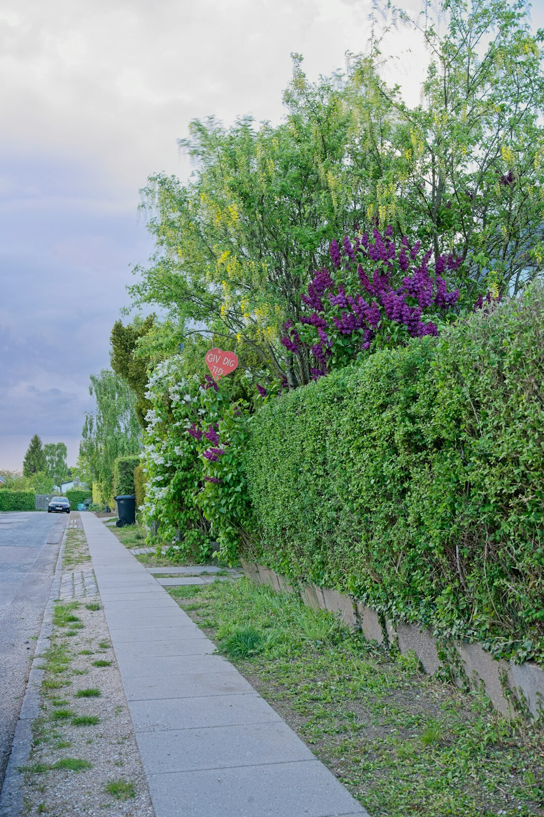 Neighbors chatting on a residential street in a Danish urban neighborhood